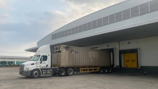 Vận chuyển hàng đông lạnh - Proship Logistics - Công Ty Cổ Phần Proship